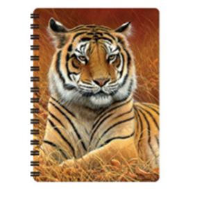 Obrázek z Notes 3D 11x14cm - tygr hnědý ležící (10) 